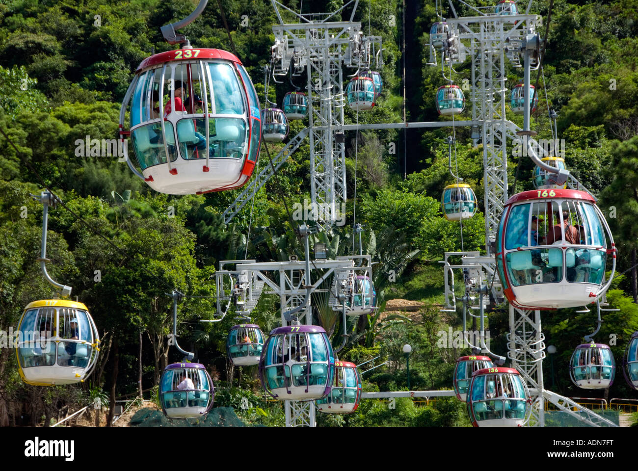 Cable car gondolas carry visitors to Ocean Park amusement park in Hong
