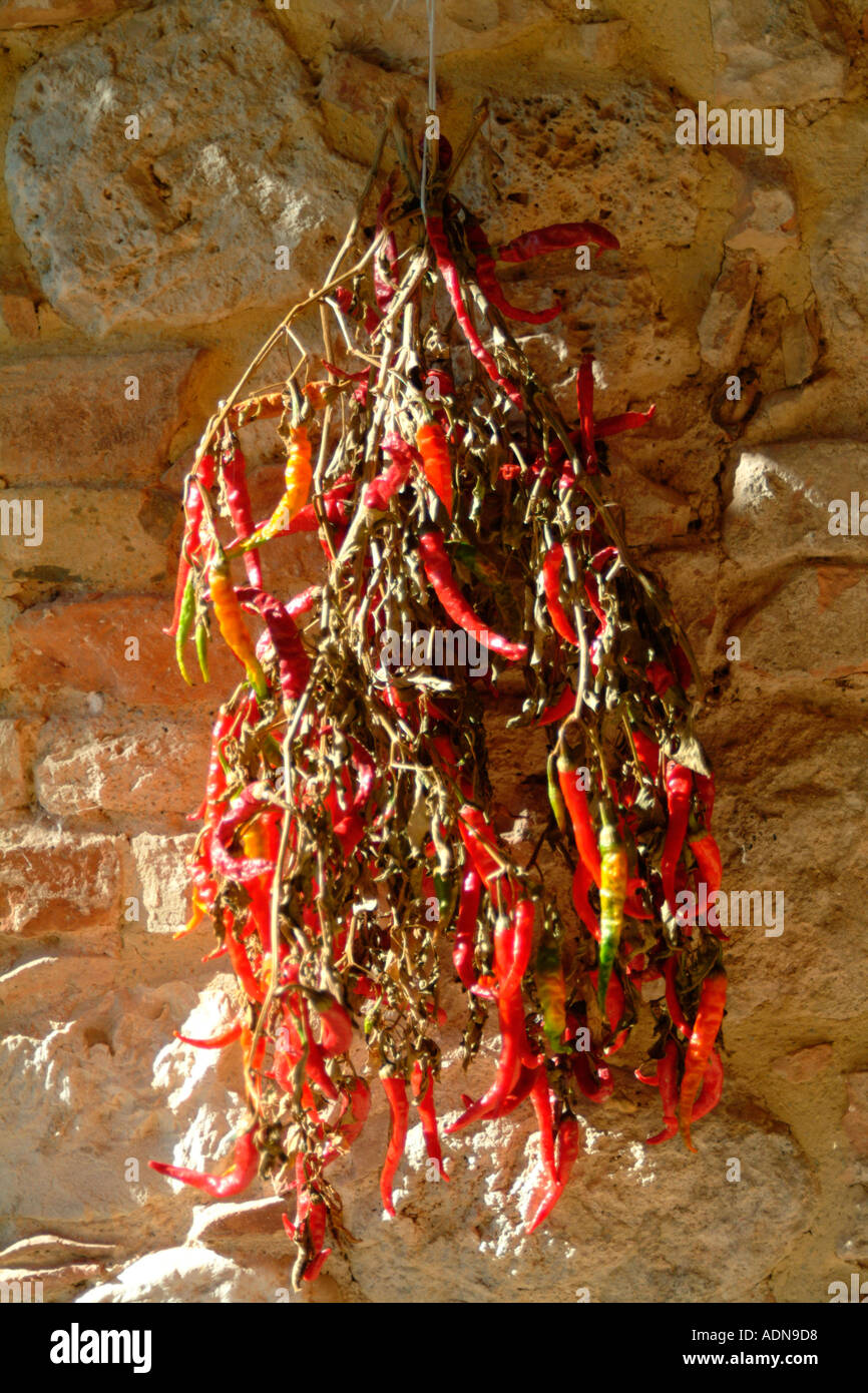 Red dry chilli hi-res stock photography and images - Alamy