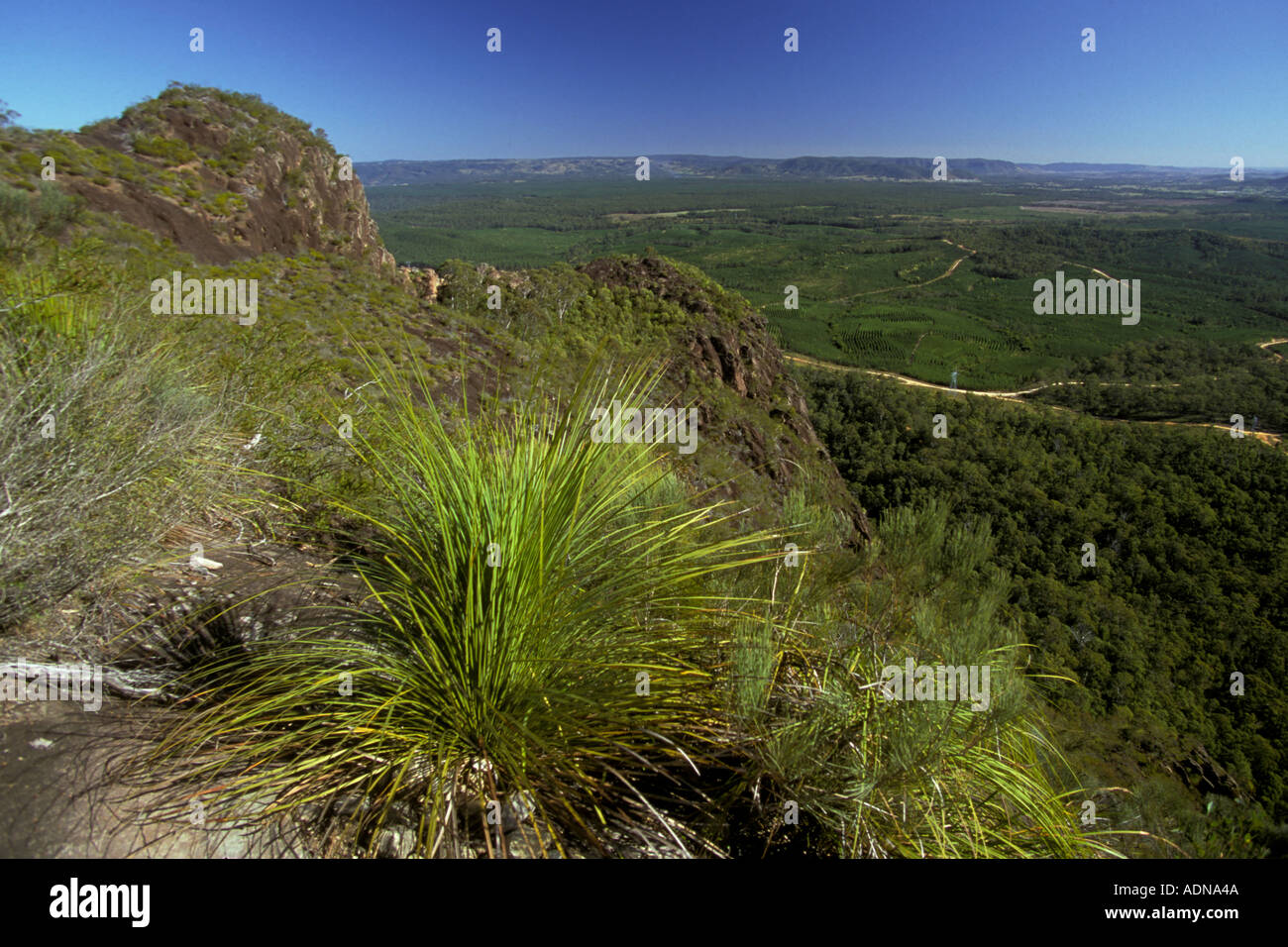 Australia Queensland Glasshouse Mtns view from the top of Mt Ngungun Stock Photo
