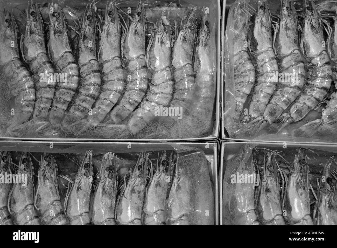 Fish market, frozen, seafood, black tiger, prawns, sale, selling, many, numerous, number, black, white, pack, packaging, Stock Photo