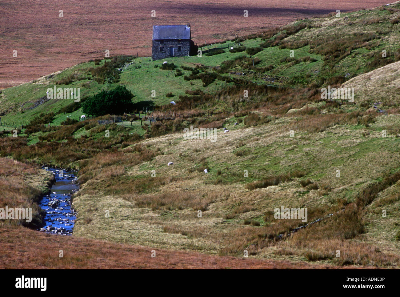 Isolated House Near Nant y Moch Ceredigion Dyfed West Wales UK Stock Photo