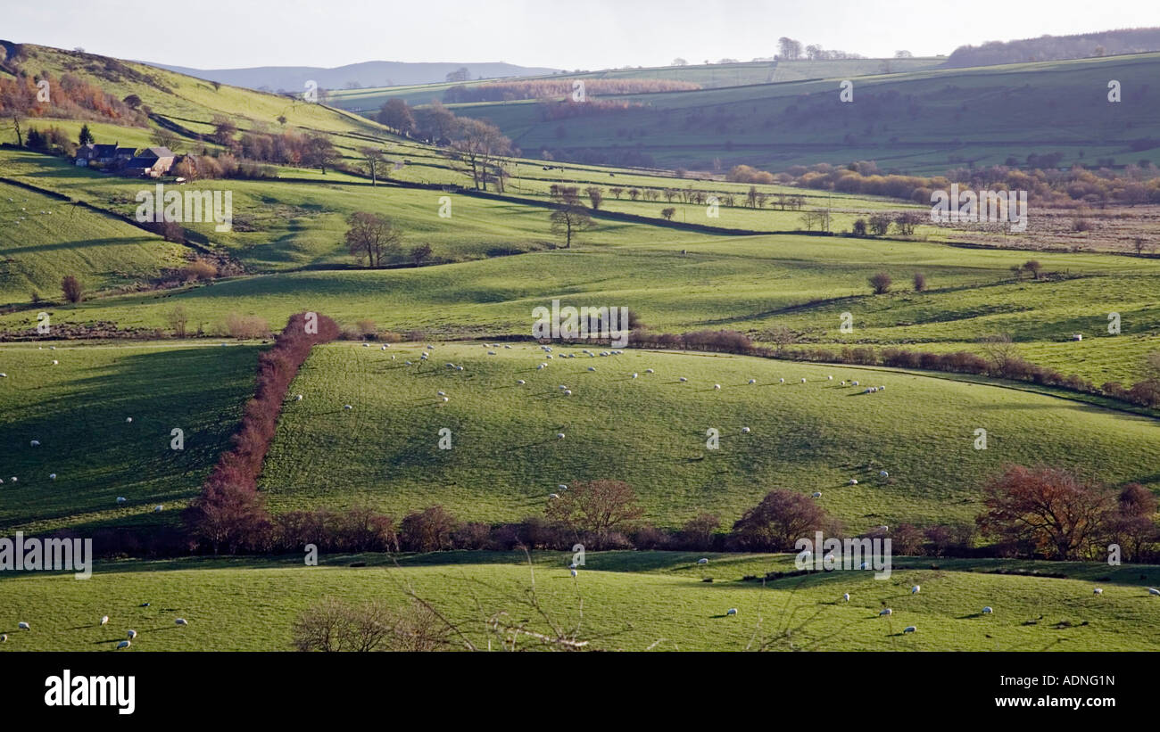 Peak District Rolling pastures near Hollington National Park Derbyshire