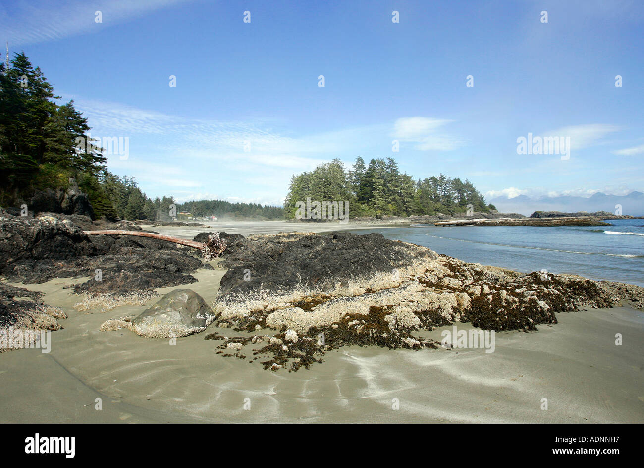 pacific rim national park tofino