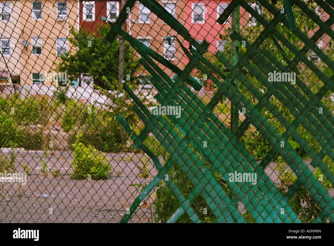 Fence chainlink hi-res stock photography and images - Page 20 - Alamy