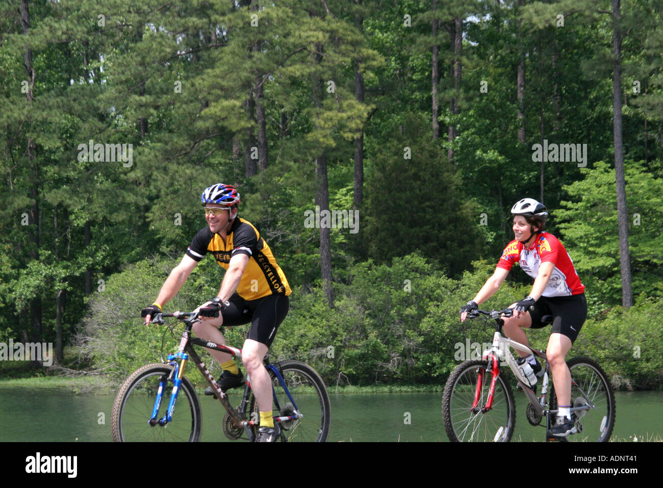 Birmingham Alabama,city,metropolitan,state capital,Oak Mountain State