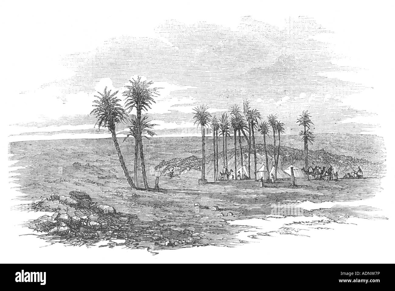 Oasis South East of Pelusium, Egypt, 19th Century Engraving Stock Photo
