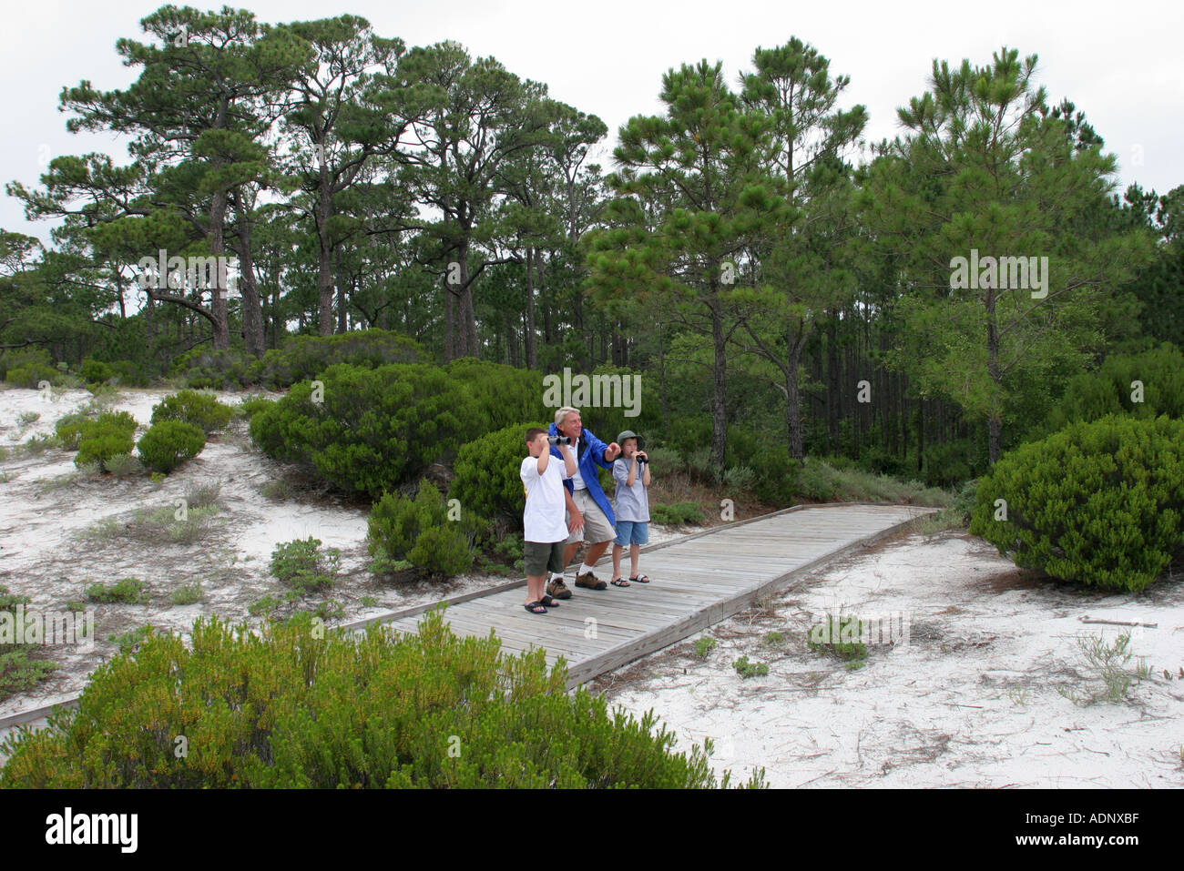 Alabama Dauphin Island,Audubon Bird Sanctuary,naturalist,boy boys,male
