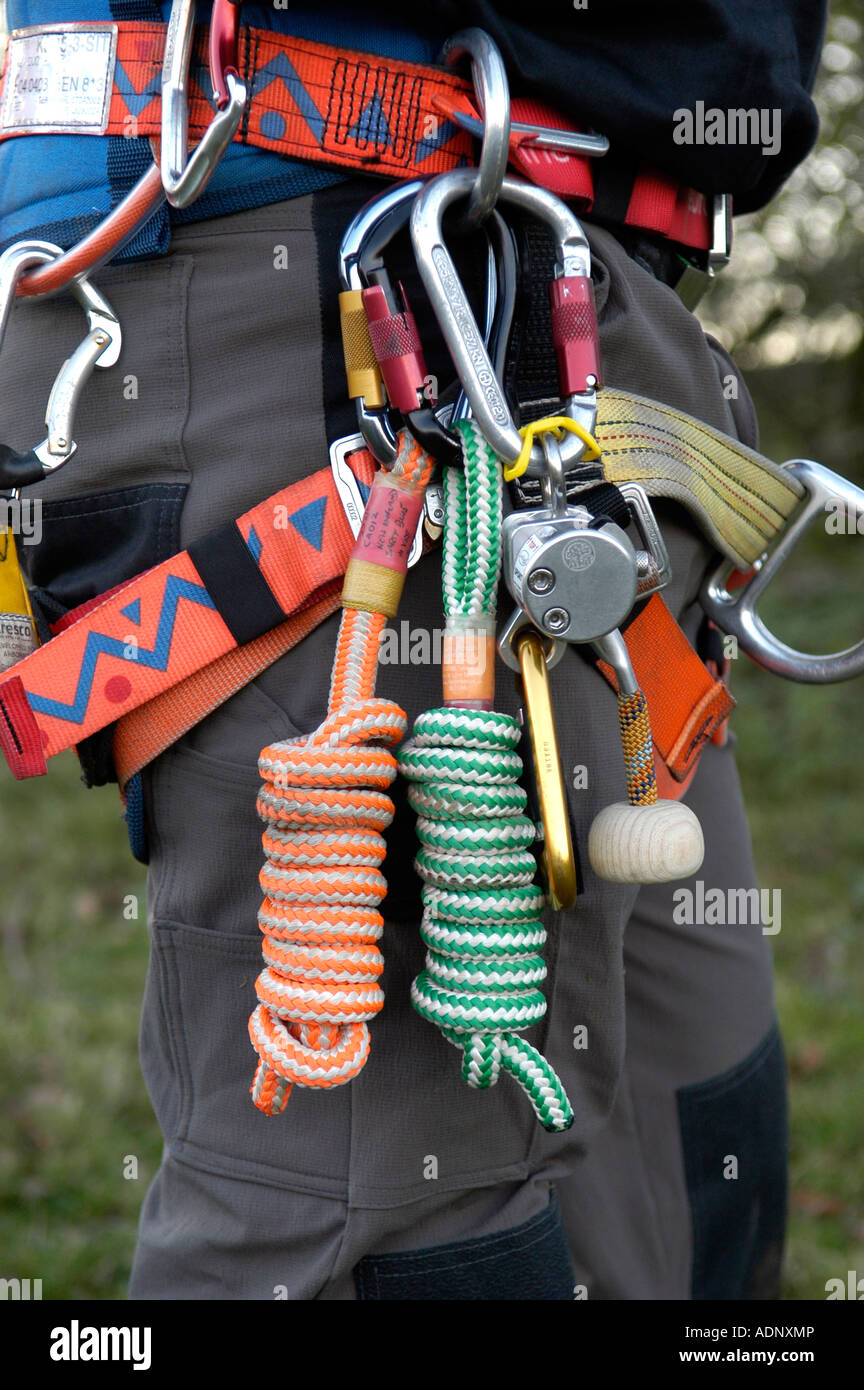 Tree climbing Wales Some of the ropes and tools needed for tree climbing Stock Photo Alamy