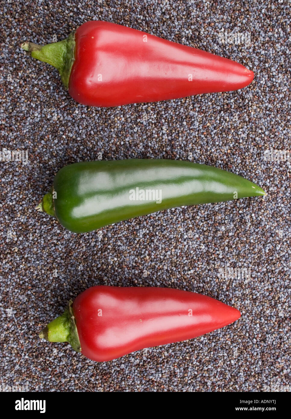 Three Chili Peppers, red and green on blue Poppy Seeds Pointing Right. Stock Photo