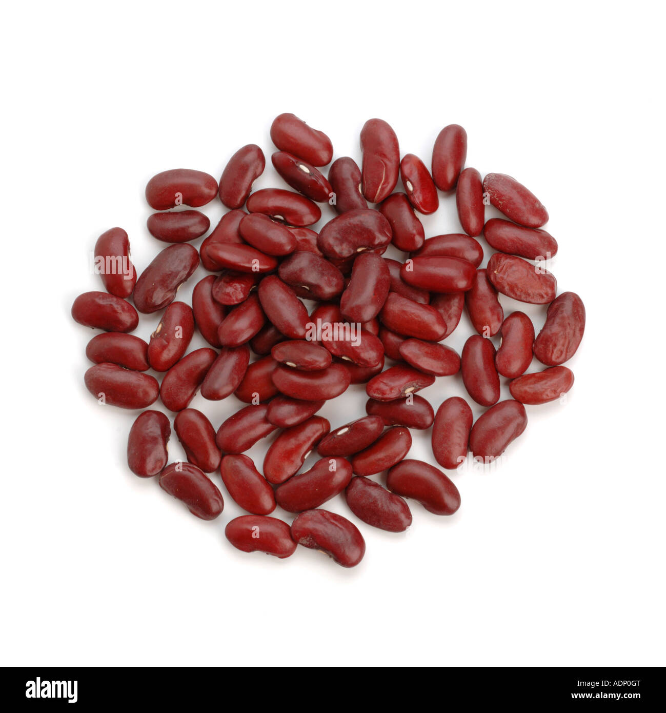 Dried red kidney beans Stock Photo Alamy