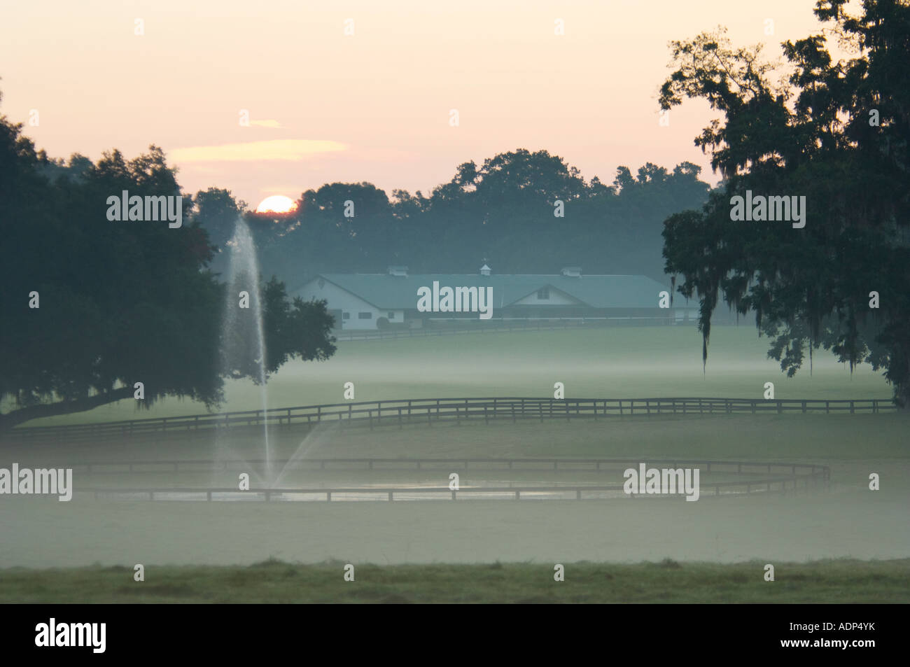 Stonehedge Farm Thoroughbred Ocala FL Stock Photo Alamy