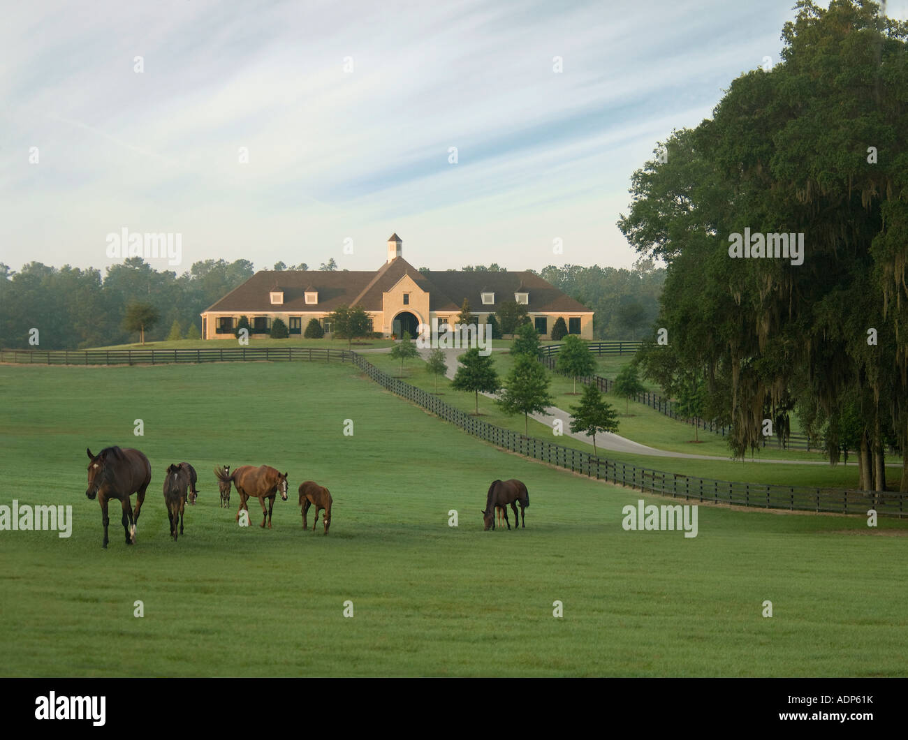 Stallion barn at Ardmore Stud Ocala FL Stock Photo Alamy
