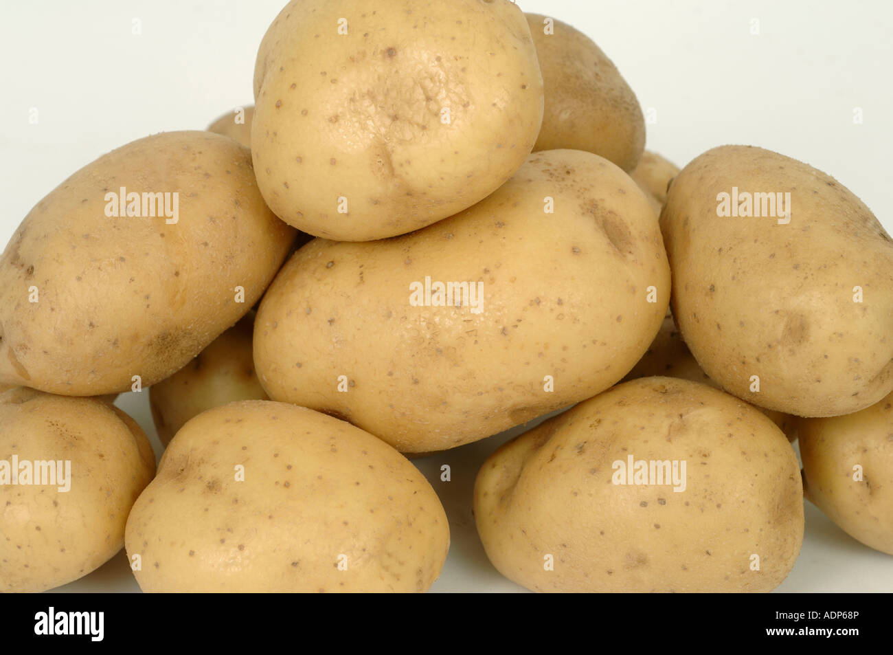 Tubers of Maris Piper potatoes ex shop or supermarket Stock Photo