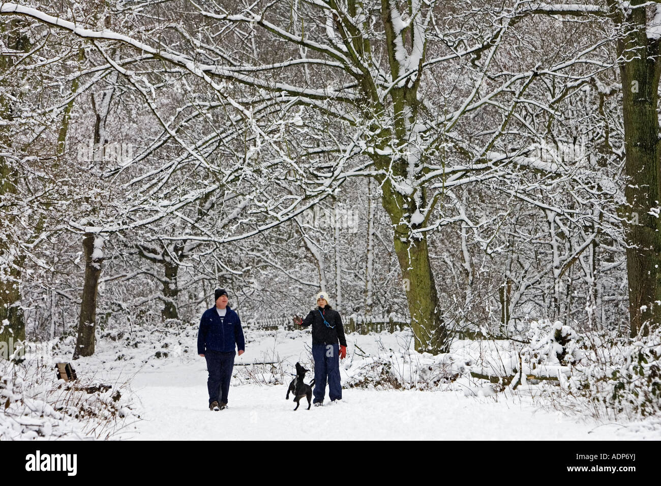 Well walk hampstead hi-res stock photography and images - Alamy