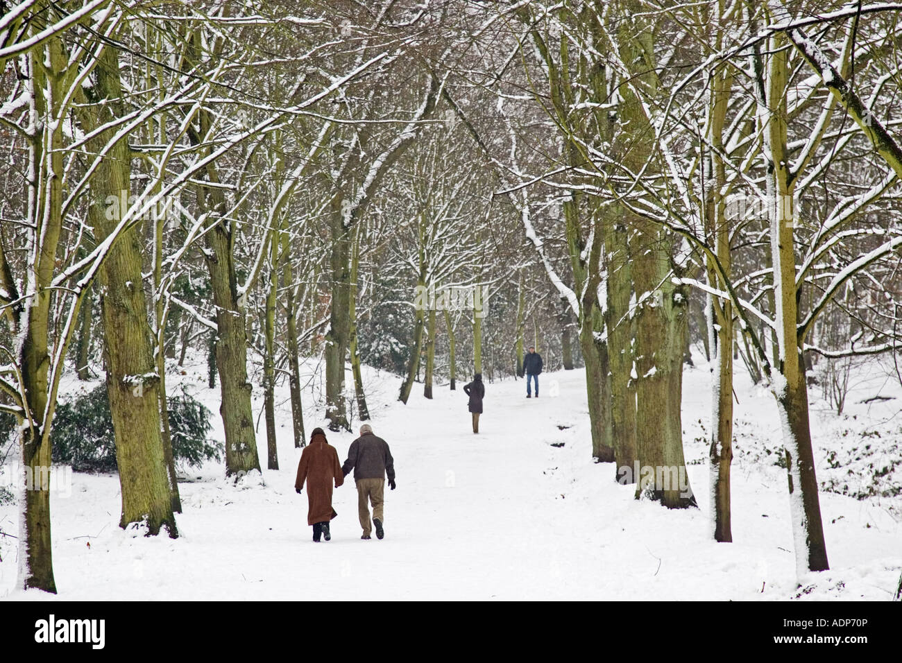 Couple walk hand in hand across snow covered Hampstead Heath North London United Kingdom Stock Photo