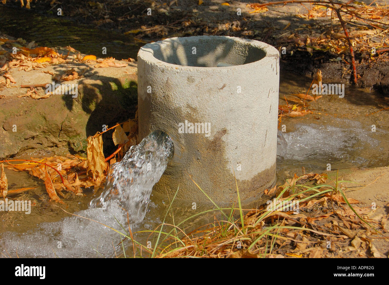 Irrigation standpipe in a peach orchard central San Joaquin Valley