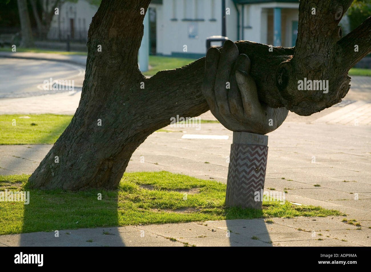 a wooden hand supporting a leaning tree in Bideford, Devon, UK Stock Photo