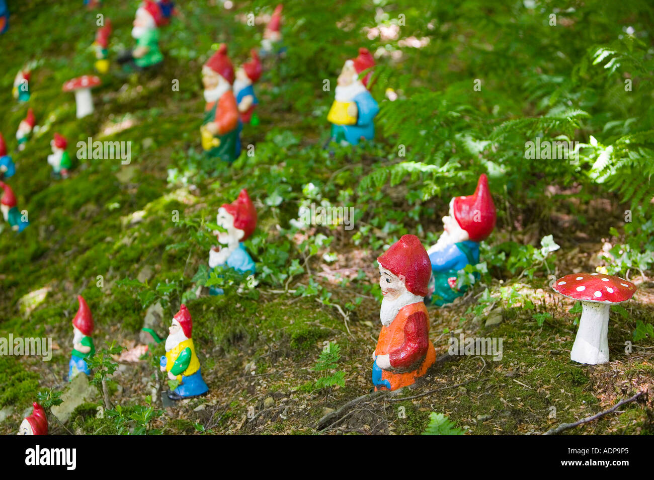 Gnomes at theWest Putnam gnome reserve, Devon, UK Stock Photo