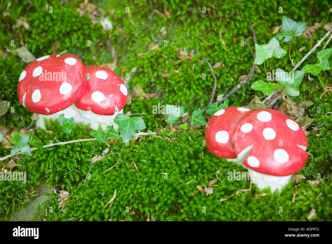 mushrooms at the West Putnam gnome reserve, Devon, UK Stock Photo