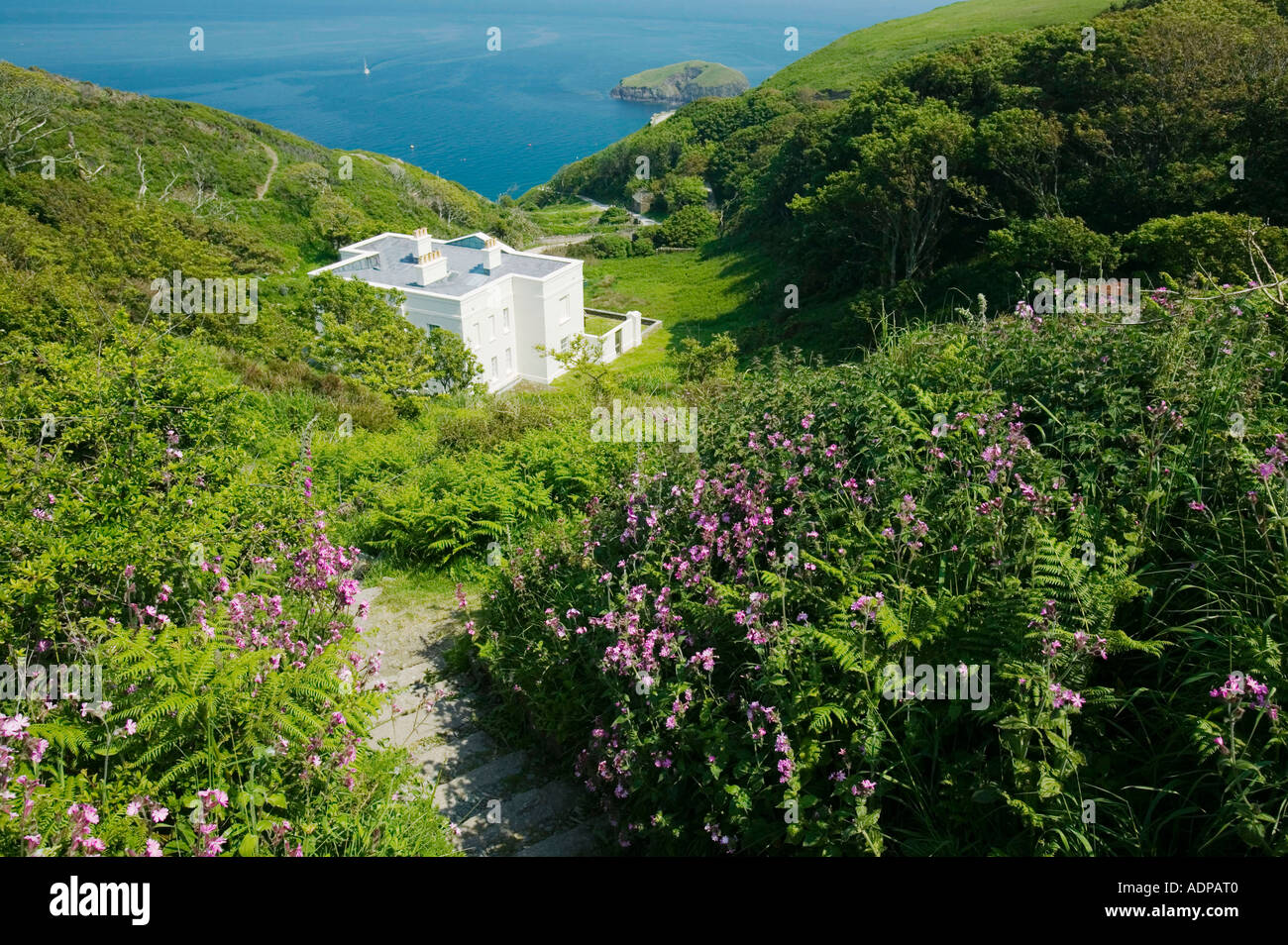house on Lundy Island, Devon, UK Stock Photo Alamy