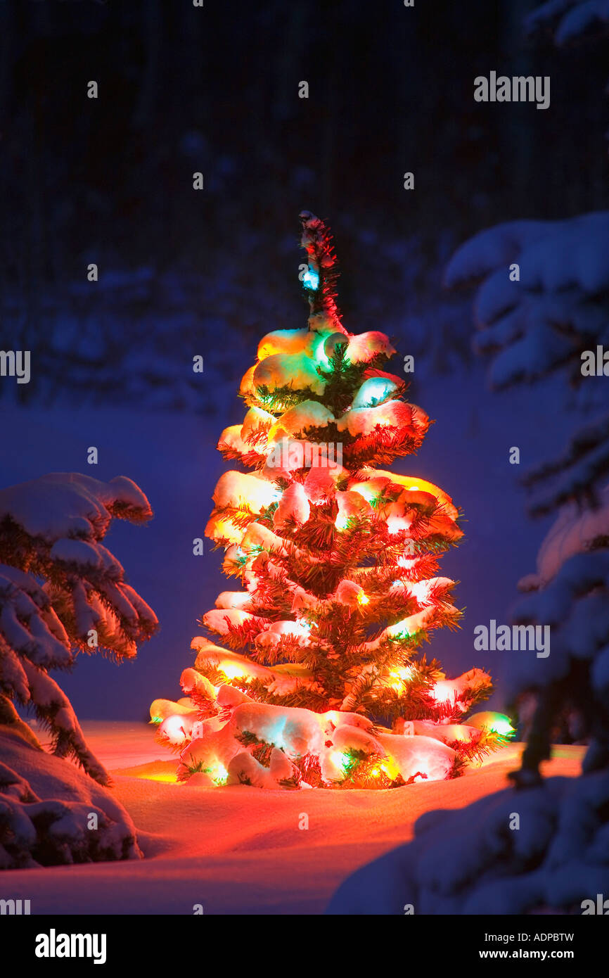 Illuminated traditional hi-res stock photography and images - Alamy