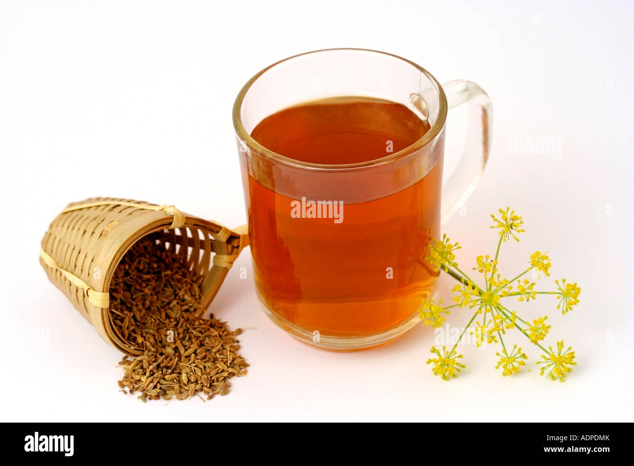 Fennel infusion (Foeniculum vulgare Stock Photo Alamy
