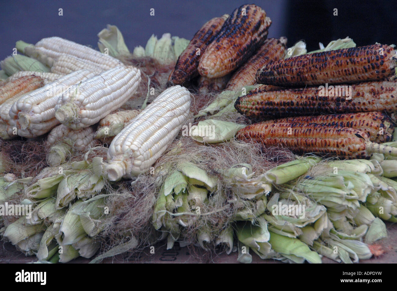 Grilled corn for sale in a street food stall, Cairo Egypt Stock Photo