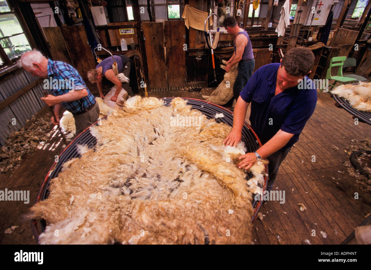 Sheep shearer australia hires stock photography and images Alamy