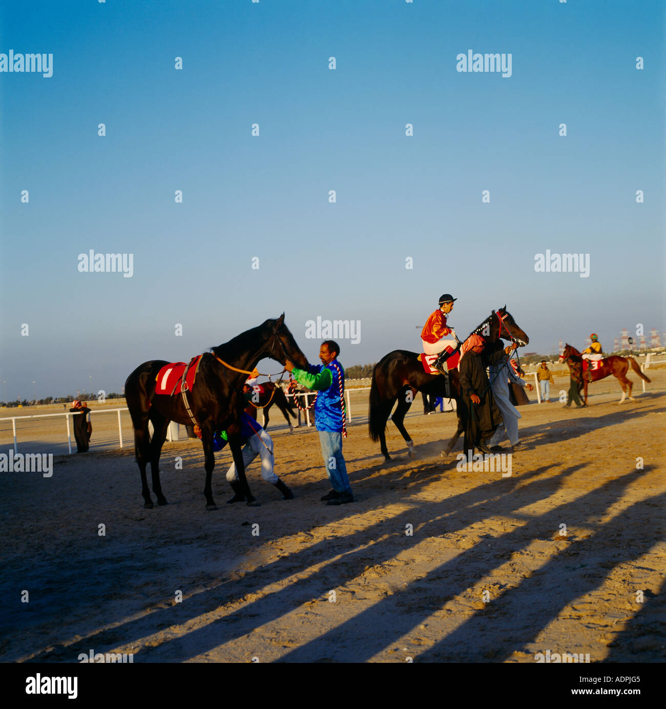 Kuwait Horse Racing Horses And Jockeys Stock Photo Alamy