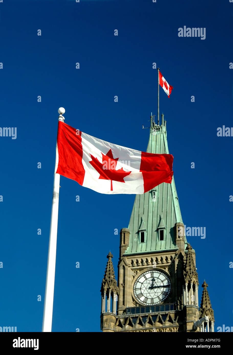 Copper maple leaf hi-res stock photography and images - Alamy