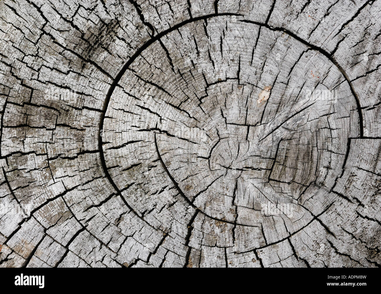 Core lines hires stock photography and images Alamy