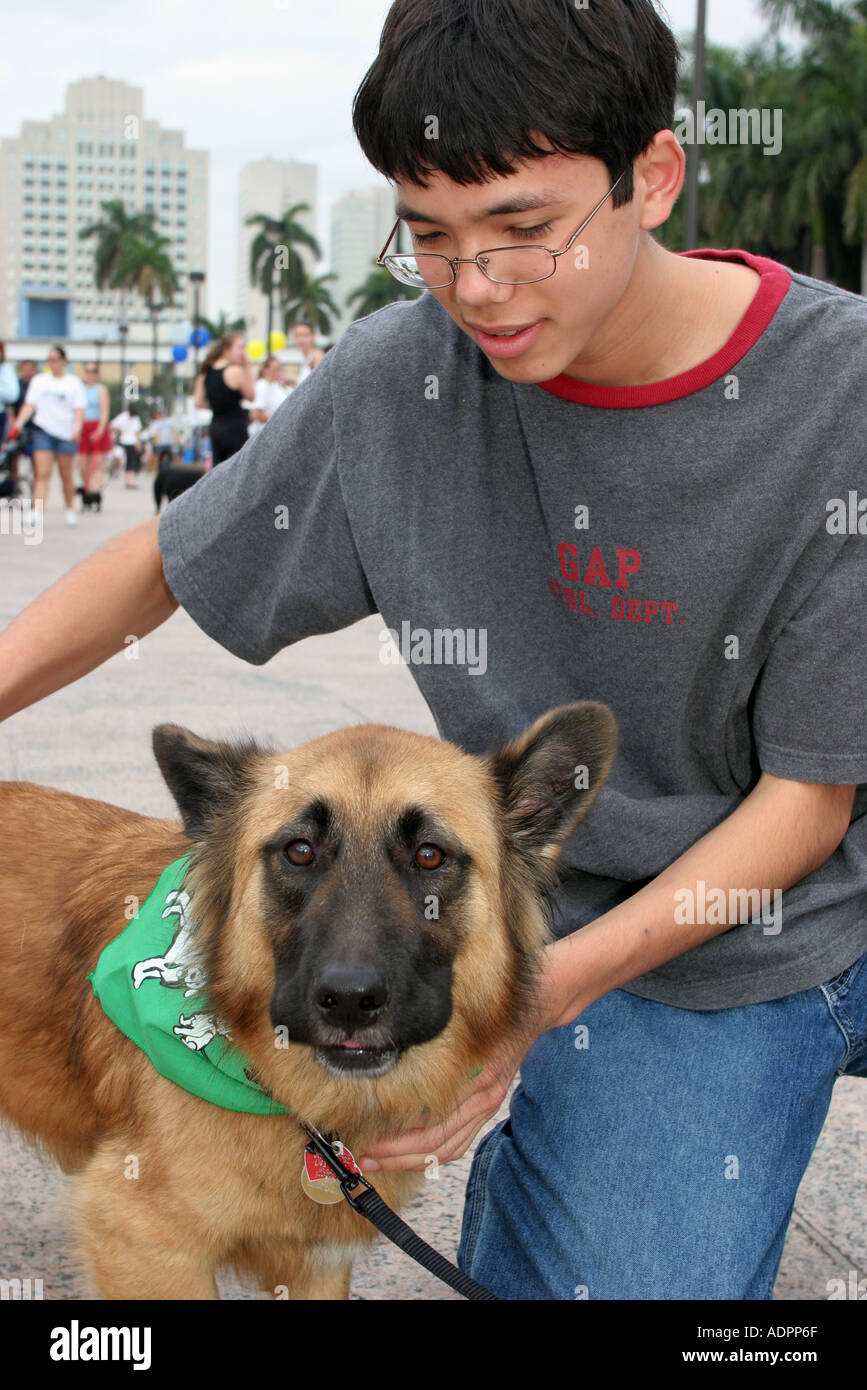Miami Florida,Bayfront Park,Walk for the Animals,Humane Society event,dog dogs,pet pets,canine,animal,Asian man,teen teens teenage teenager teenagers Stock Photo