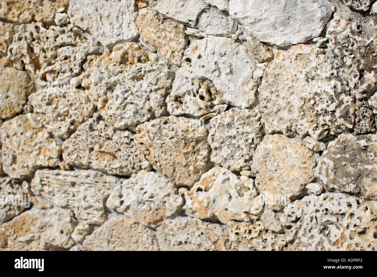 Florida, coral rock wall, oolite, Stock Photo