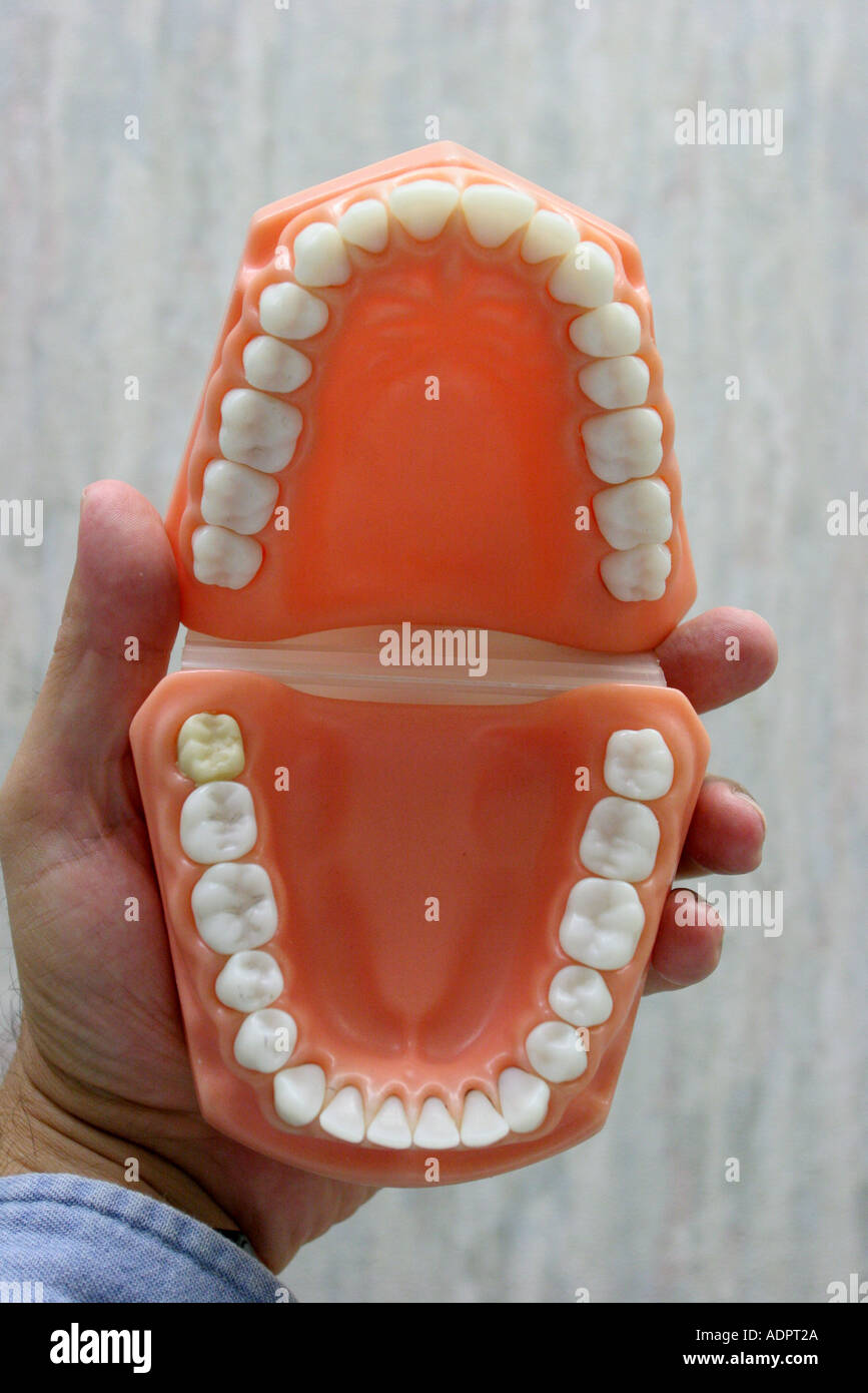 dentist barbie kmart