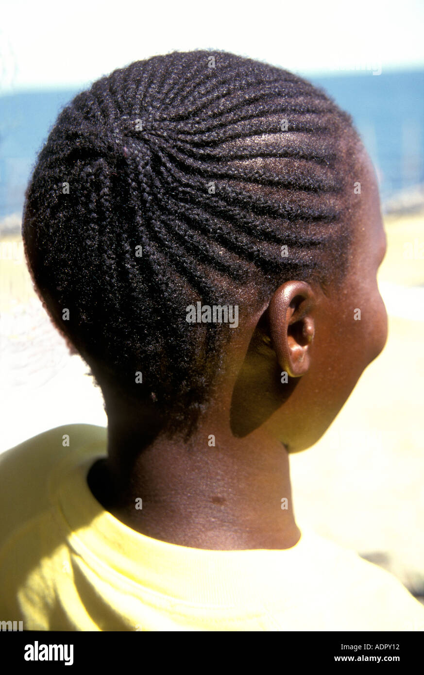 Luo woman s plaited hairstyle Rusinga Island Lake Victoria Kenya East Africa  Stock Photo - Alamy