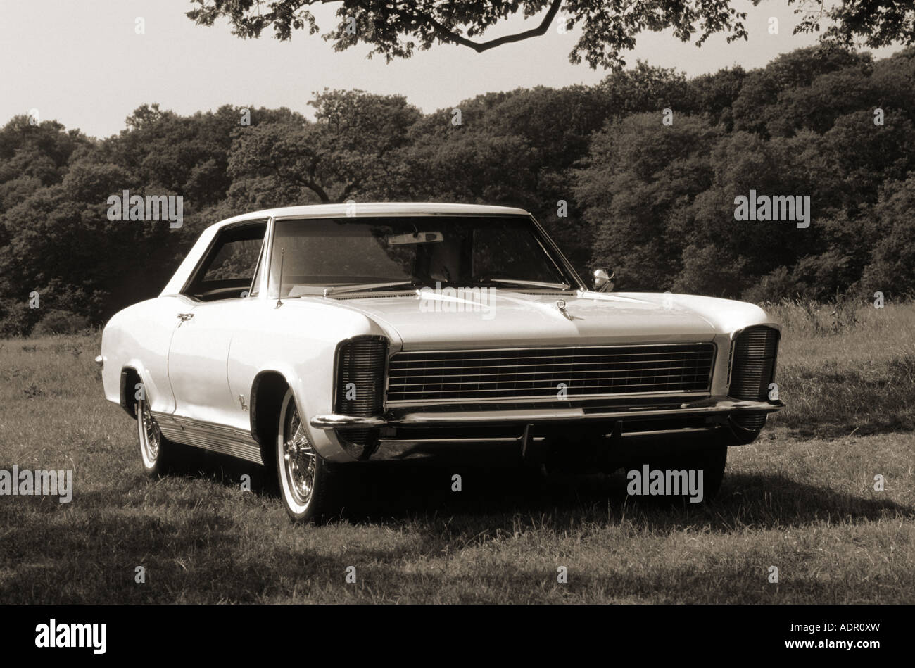 Buick Riviera Hardtop Coupe of 1965 Stock Photo