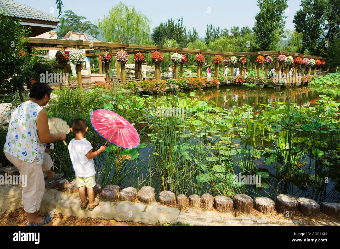 Beijing botanical gardens hires stock photography and images Alamy