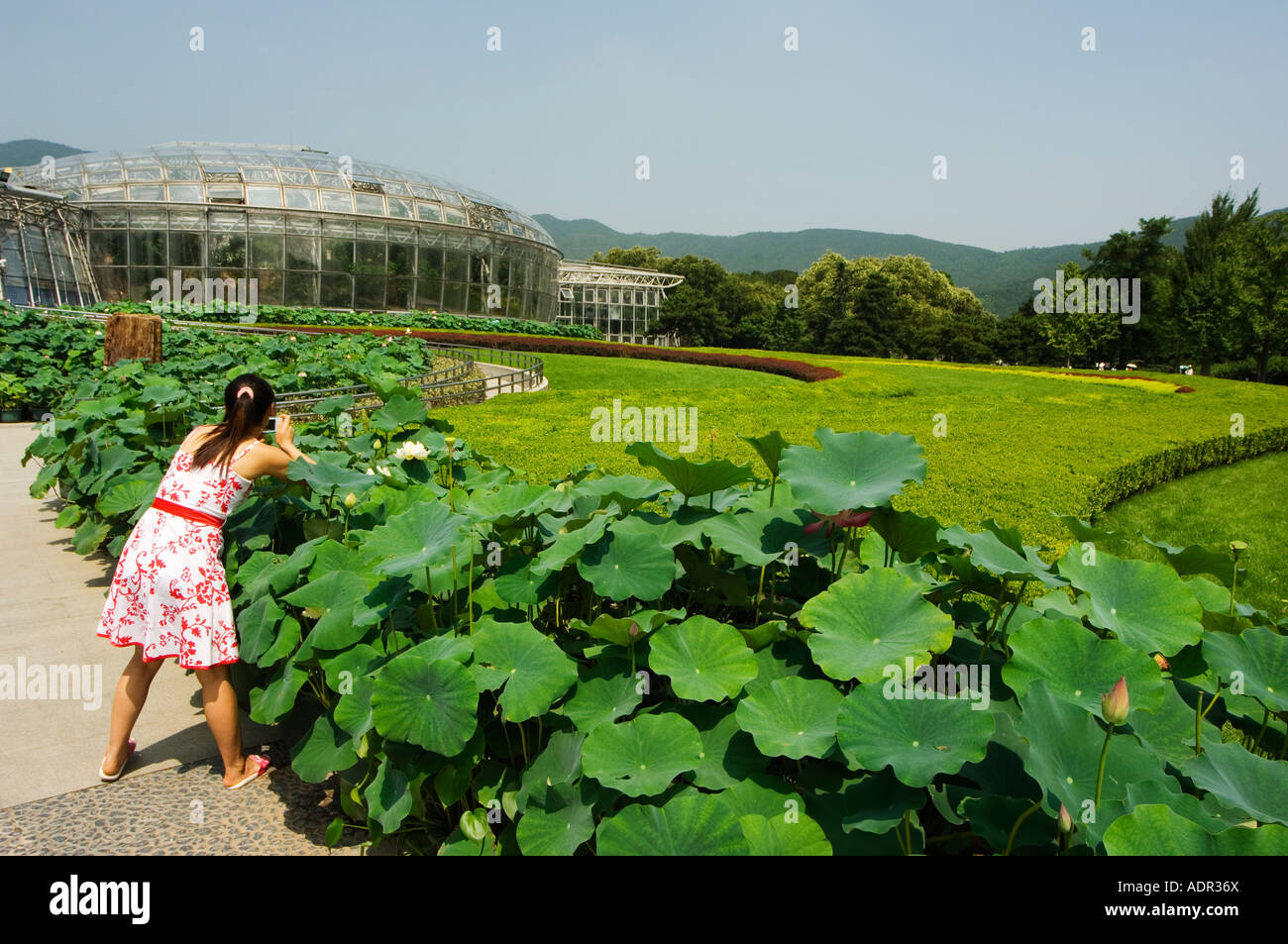 Botanical Conservatory built in 1999 inside Beijing Botanical Gardens