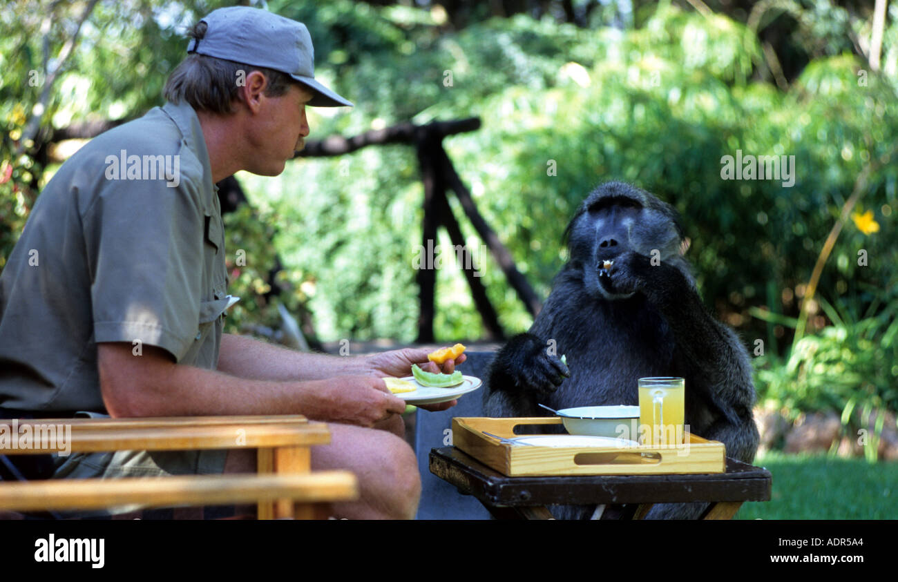 Ranger training africa hi-res stock photography and images - Alamy