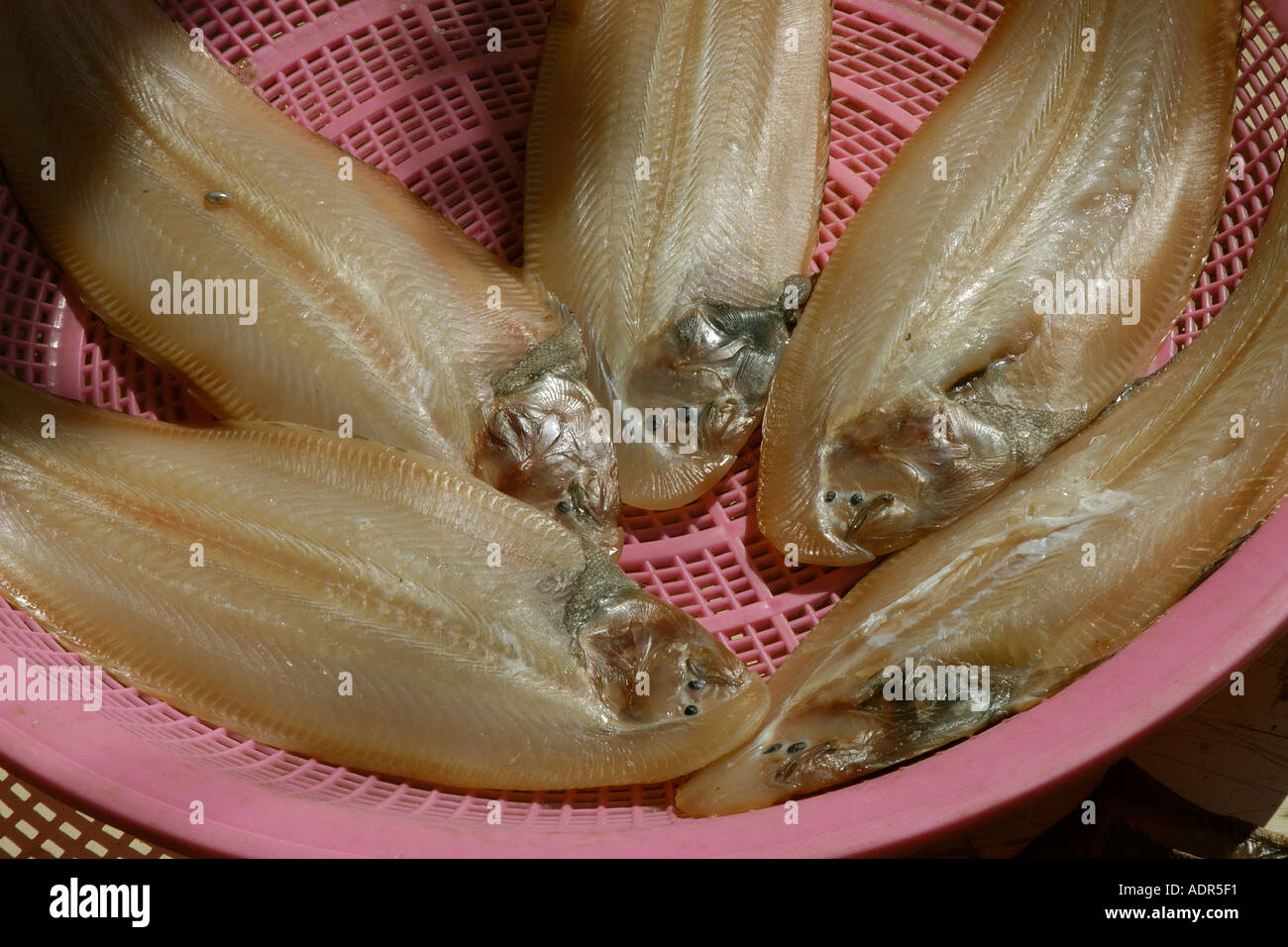 Dried fish for sale at a seafood market near Yeongjongdo pier Incheon