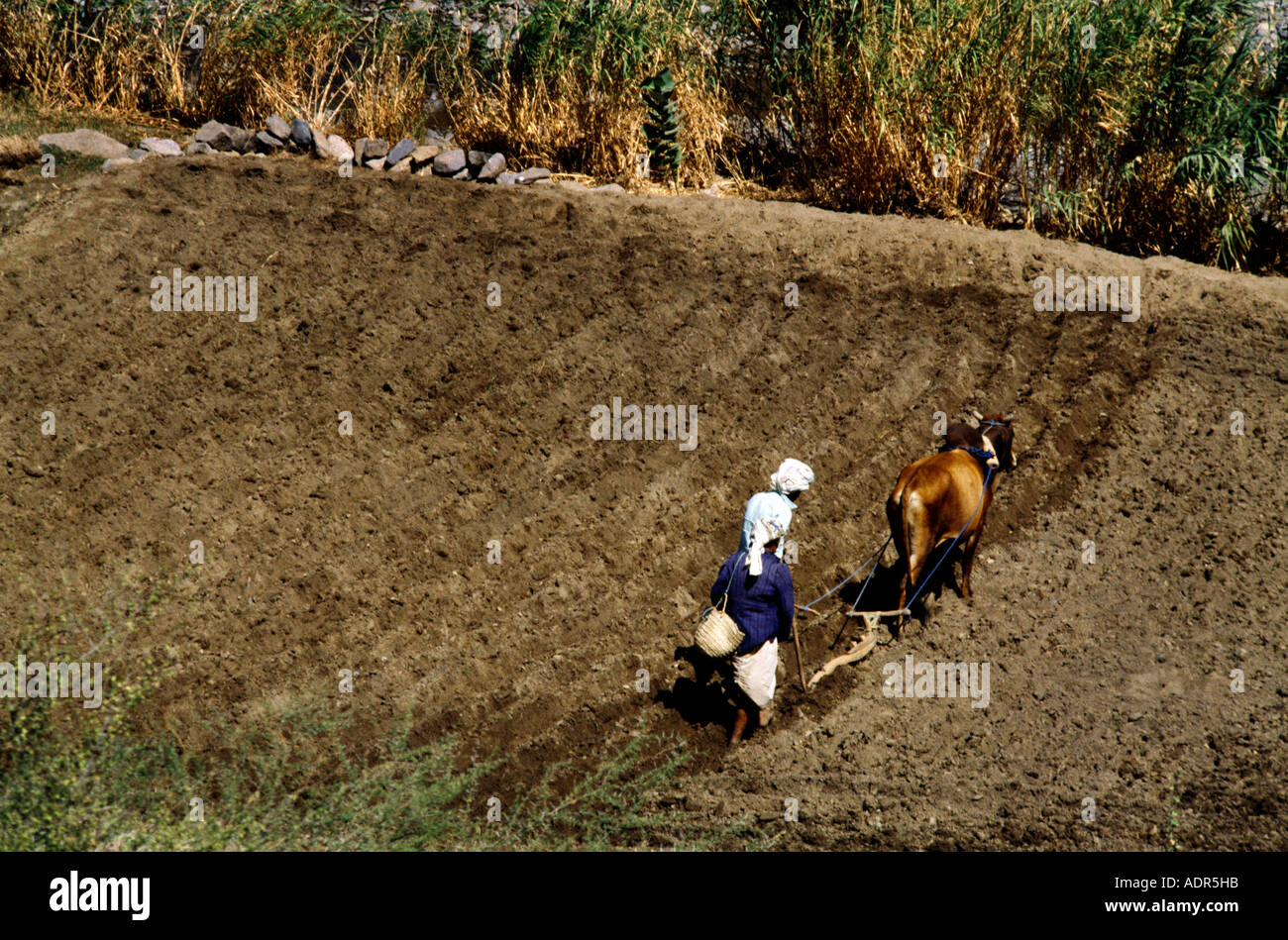 Contour ploughing hires stock photography and images Alamy