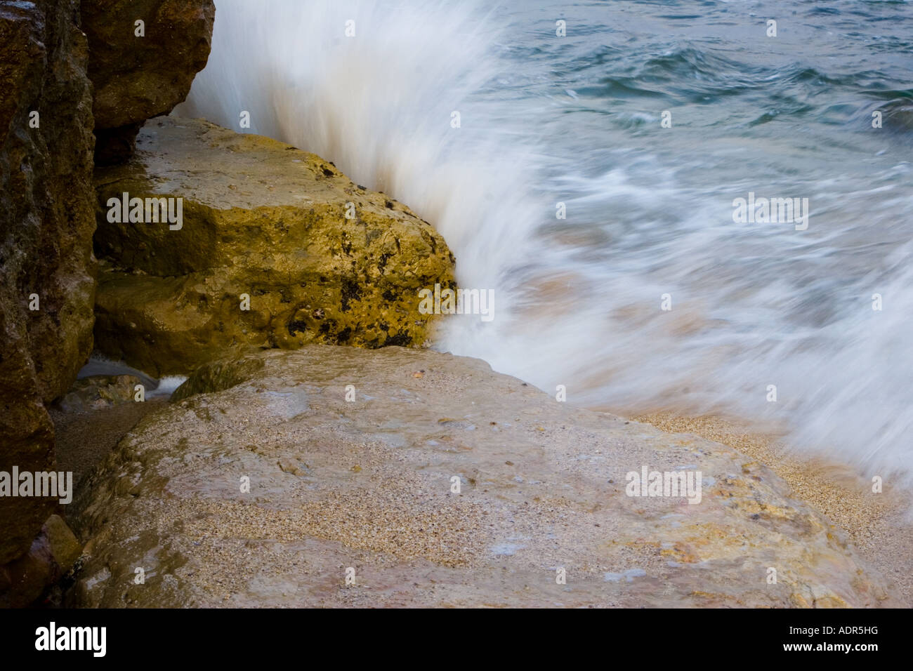 Nir galim hires stock photography and images Alamy
