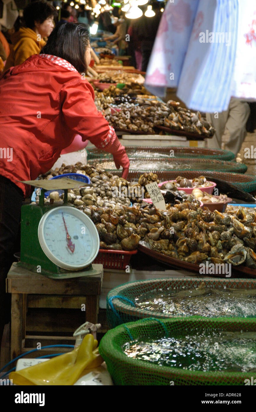Shellfish for sale at seafood market Incheon Gyeonggi Do South Korea Stock Photo