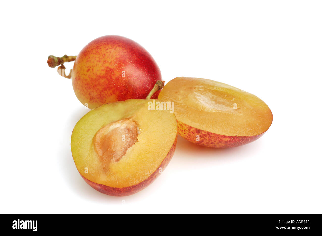 Victoria Plums Stock Photo
