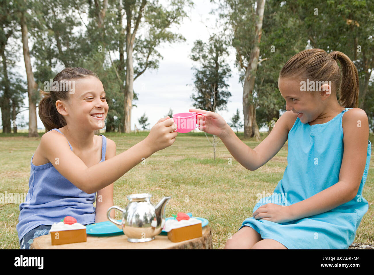 Girls having a tea party in field Stock Photo - Alamy