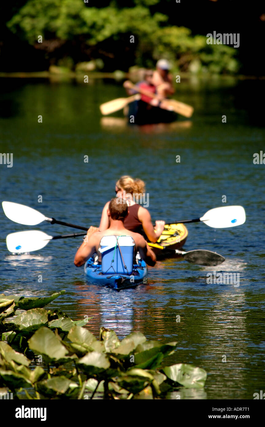 Wekiva springs orlando hires stock photography and images Alamy