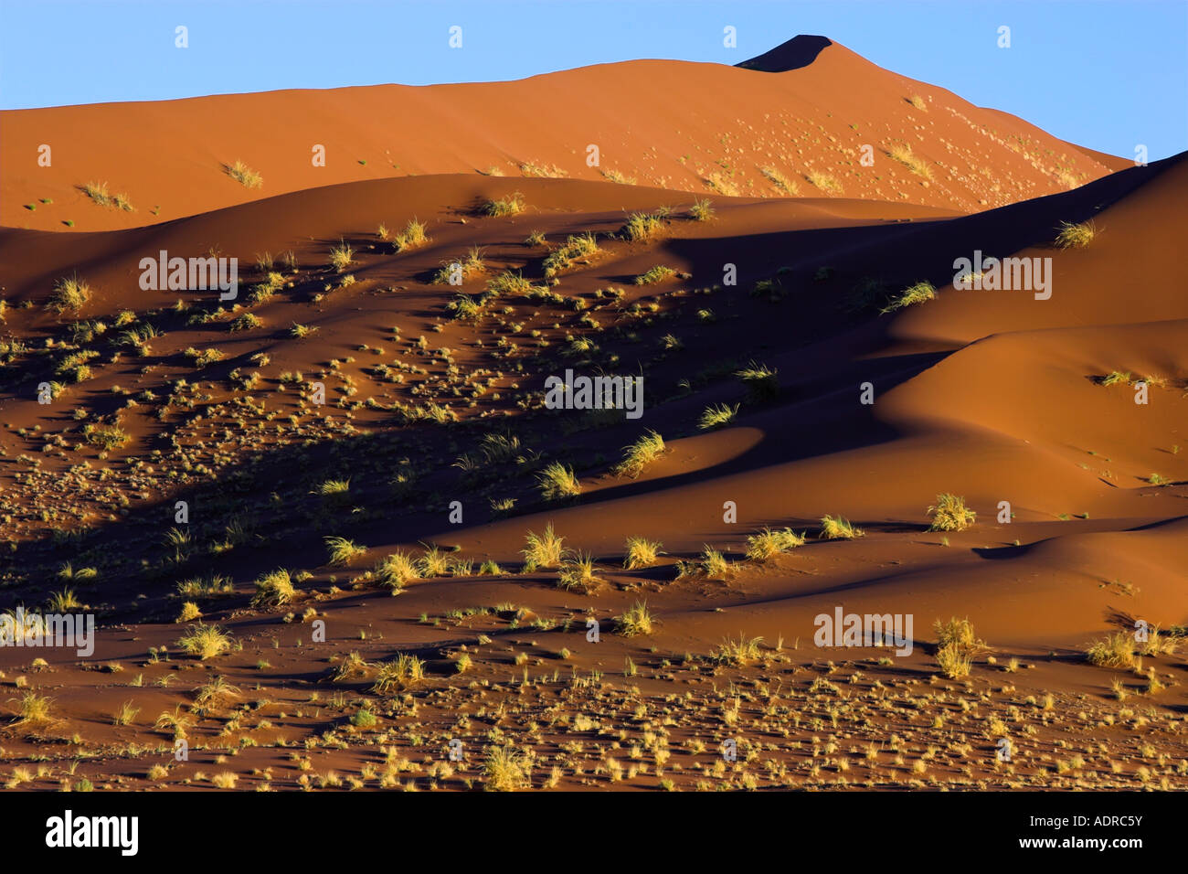 Desert Dunes Sossusvlei Namib Naukluft Park Namibia Stock Photo - Alamy