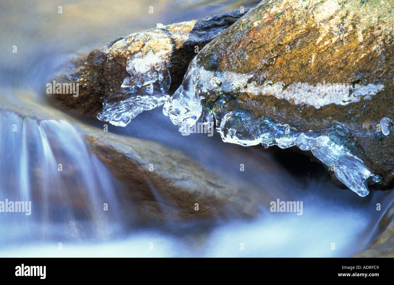 Brook Using Ice Frozen brook with ice structures hi-res stock photography and images ...