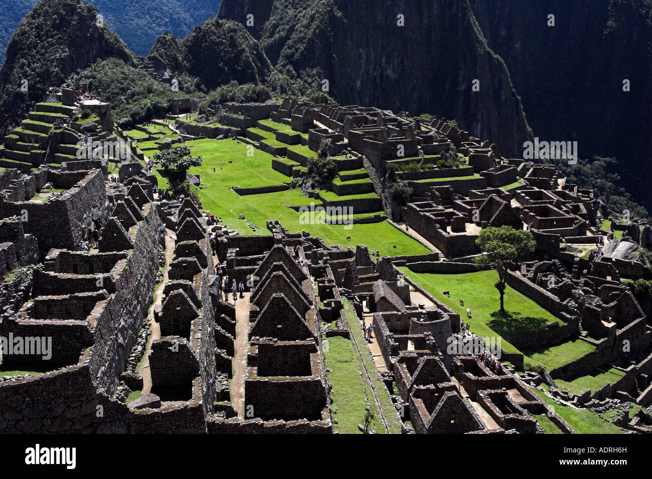[Machu Picchu], [Lost City of the Incas], Peru, view over ancient ruins, 'South America', [UNESCO World Heritage Site] Stock Photo