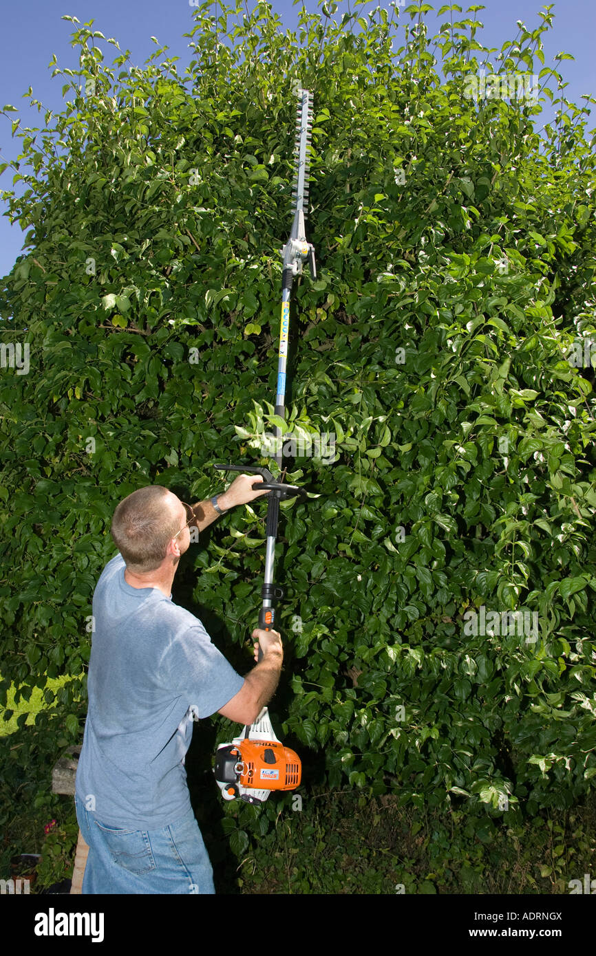 a man using a long reach hedge trimmer Stock Photo Alamy